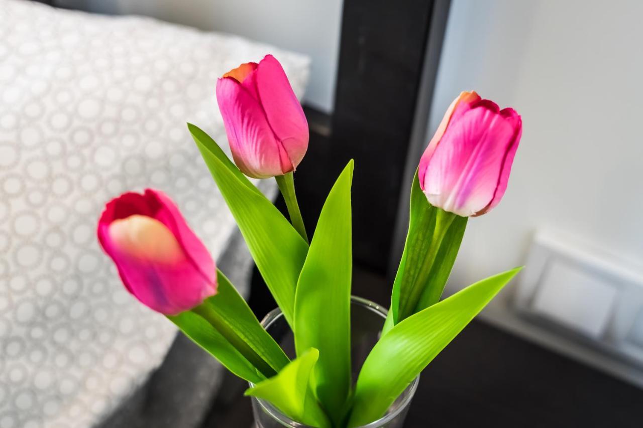 Cosy Studios In The Heart Of The City Будапеща Екстериор снимка